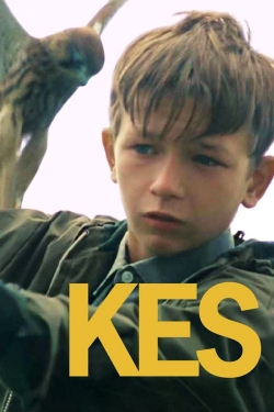 Watch Free Kes Full Movies HD Online MyFlixer