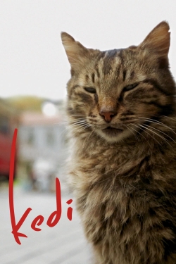 Watch Free Kedi Full Movies HD Online MyFlixer