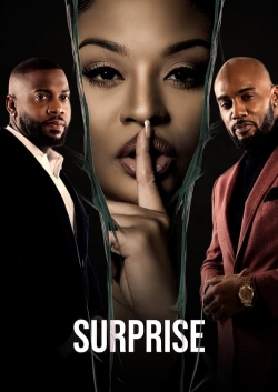 Watch Free Surprise Full Movies HD Online MyFlixer