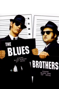 Watch Free The Blues Brothers Full Movies HD Online MyFlixer