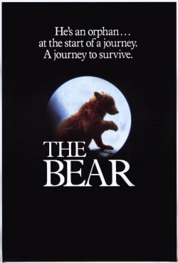 Watch Free The Bear Full Movies HD Online MyFlixer