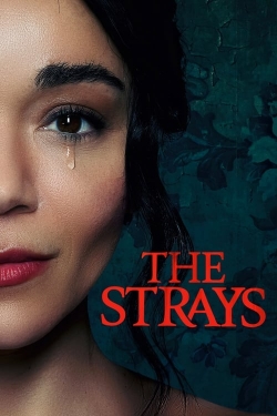 Watch Free The Strays Full Movies HD Online MyFlixer