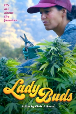 Watch Free Lady Buds Full Movies HD Online MyFlixer