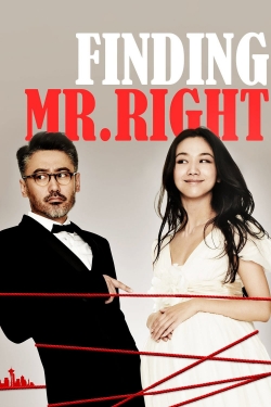 Watch Free Finding Mr. Right Full Movies HD Online MyFlixer