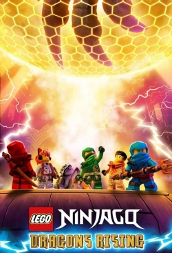 Watch Free LEGO Ninjago: Dragons Rising Full Movies HD Online MyFlixer