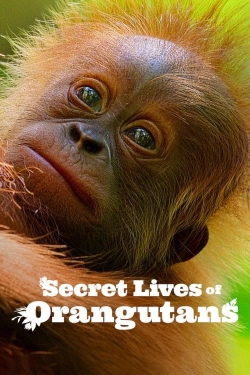 Watch Free Secret Lives of Orangutans Full Movies HD Online MyFlixer