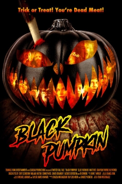 Watch Free Black Pumpkin Full Movies HD Online MyFlixer