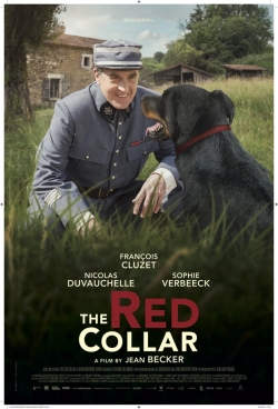 Watch Free The Red Collar Full Movies HD Online MyFlixer