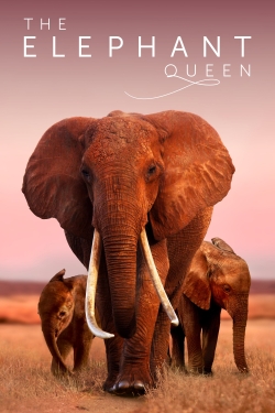 Watch Free The Elephant Queen Full Movies HD Online MyFlixer