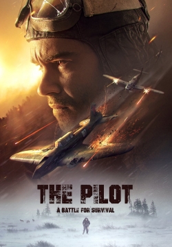 Watch Free The Pilot. A Battle for Survival Full Movies HD Online MyFlixer