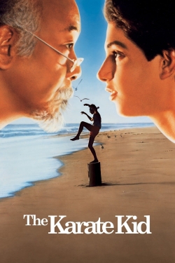 Watch Free The Karate Kid Full Movies HD Online MyFlixer