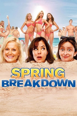 Watch Free Spring Breakdown Full Movies HD Online MyFlixer