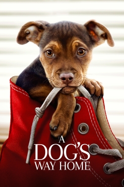 Watch Free A Dog's Way Home Full Movies HD Online MyFlixer