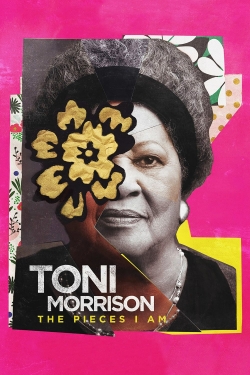 Watch Free Toni Morrison: The Pieces I Am Full Movies HD Online MyFlixer