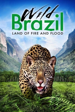 Watch Free Wild Brazil Full Movies HD Online MyFlixer