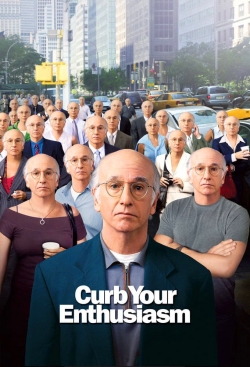 Watch Free Larry David: Curb Your Enthusiasm Full Movies HD Online MyFlixer