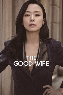 Watch Free The Good Wife Full Movies HD Online MyFlixer