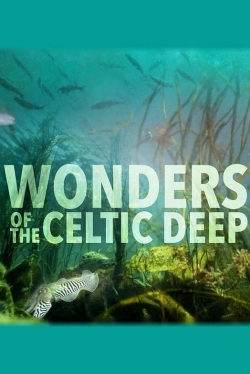 Watch Free Wonders of the Celtic Deep Full Movies HD Online MyFlixer