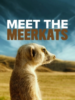 Watch Free Meet The Meerkats Full Movies HD Online MyFlixer