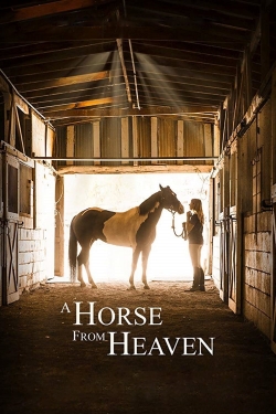 Watch Free A Horse from Heaven Full Movies HD Online MyFlixer