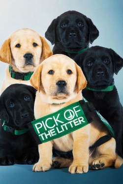 Watch Free Pick of the Litter Full Movies HD Online MyFlixer